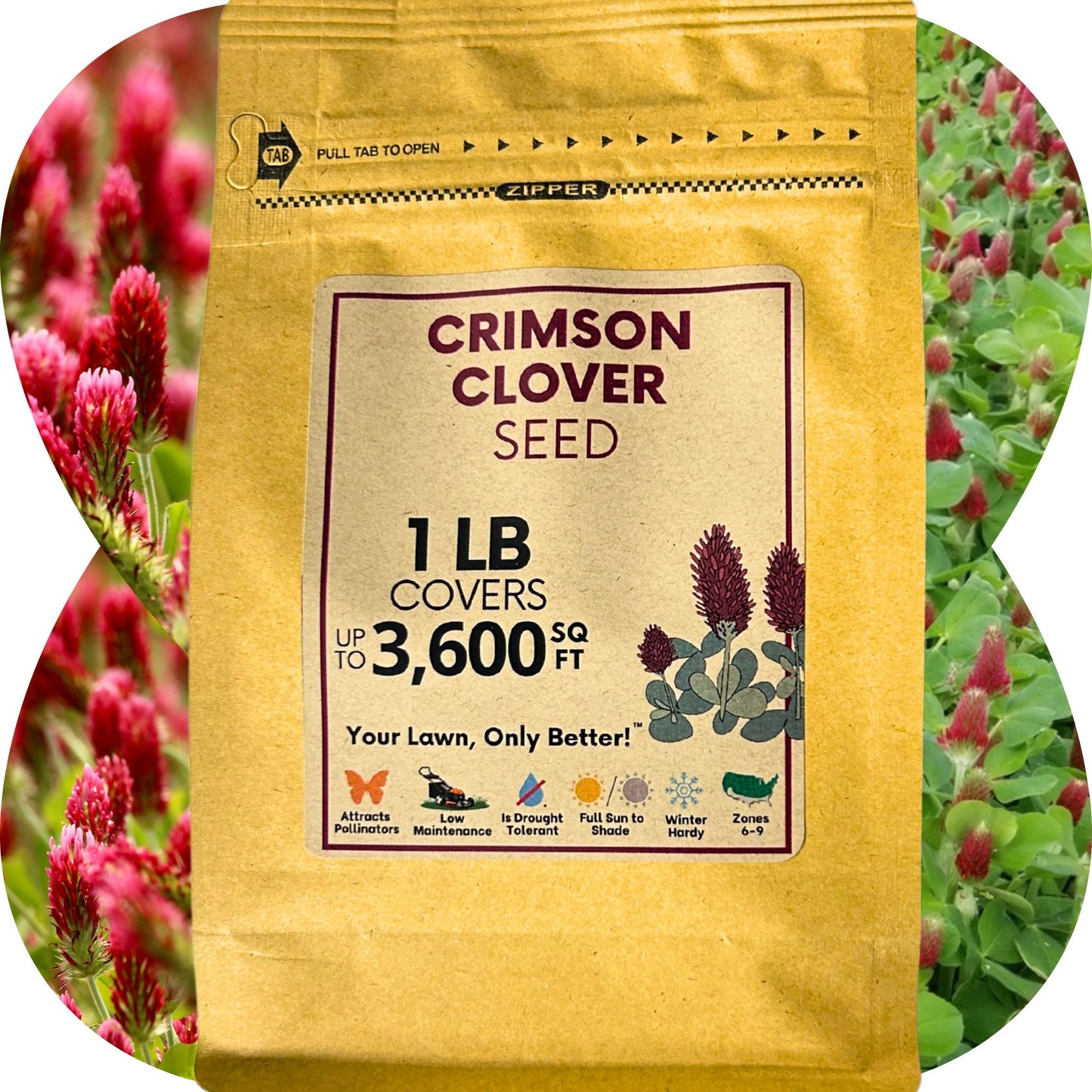 Crimson Clover Seed