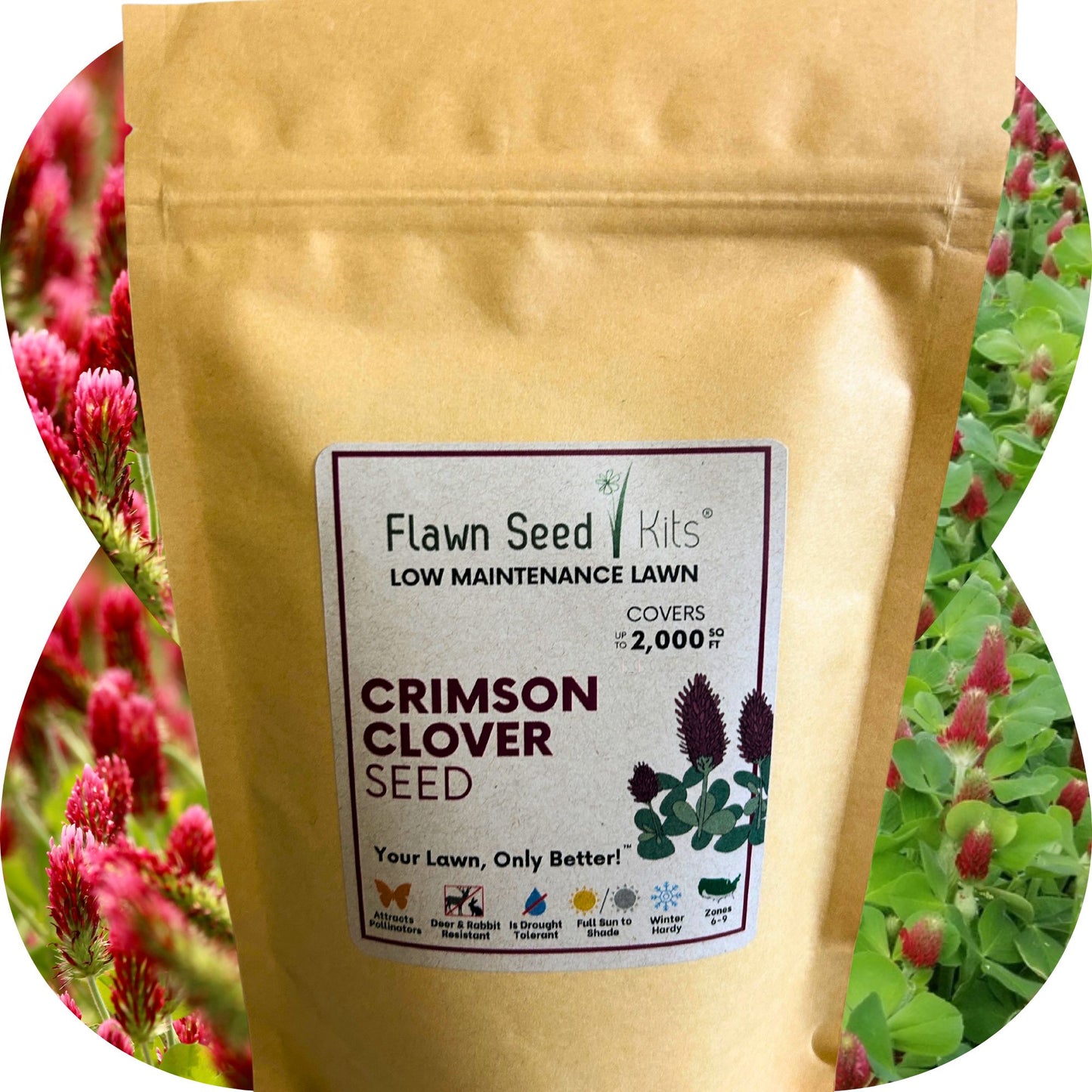 Crimson Clover Seed