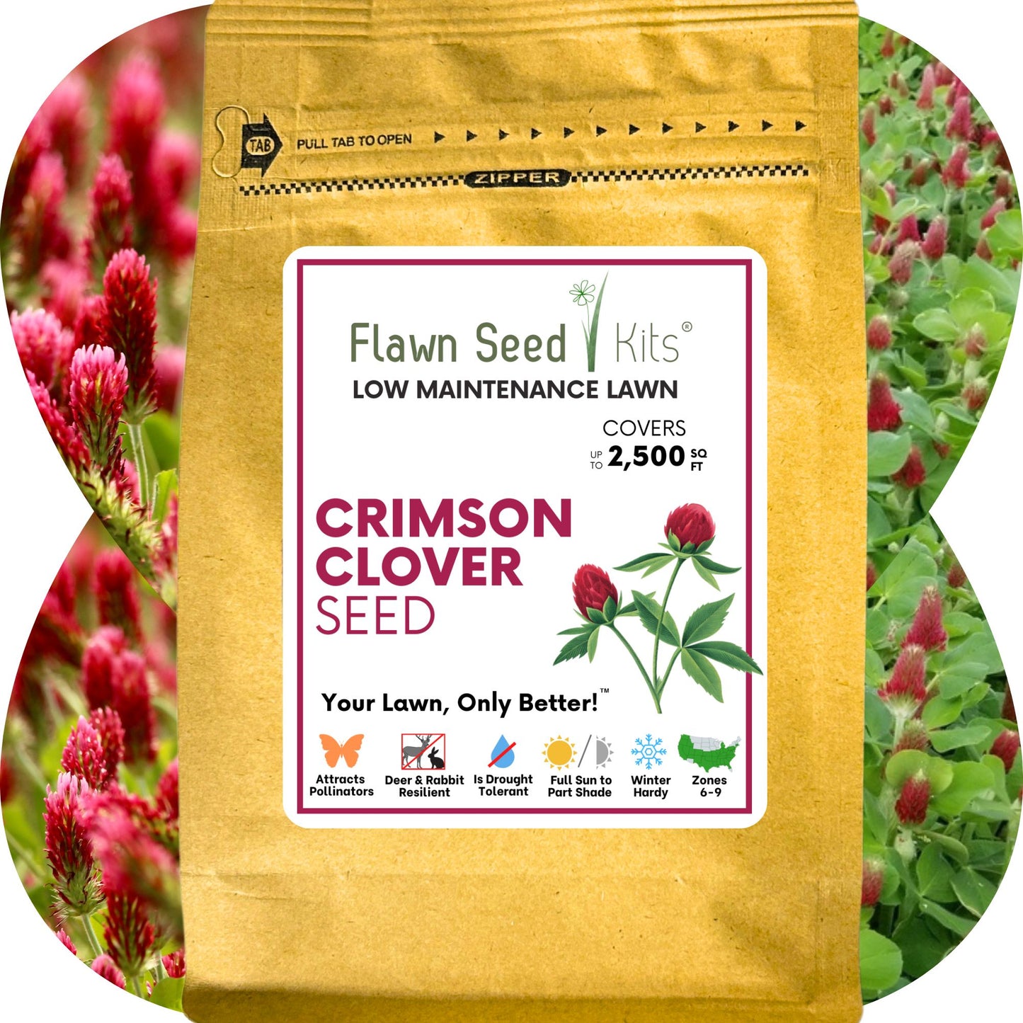 Crimson Clover Seed