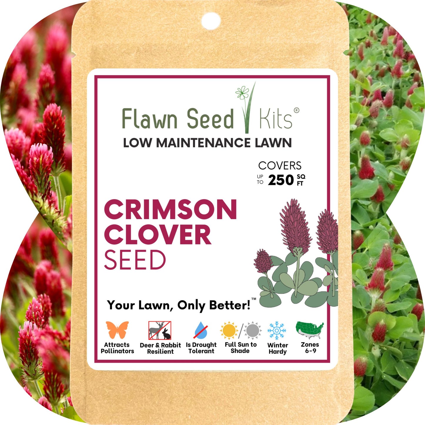 Crimson Clover Seed