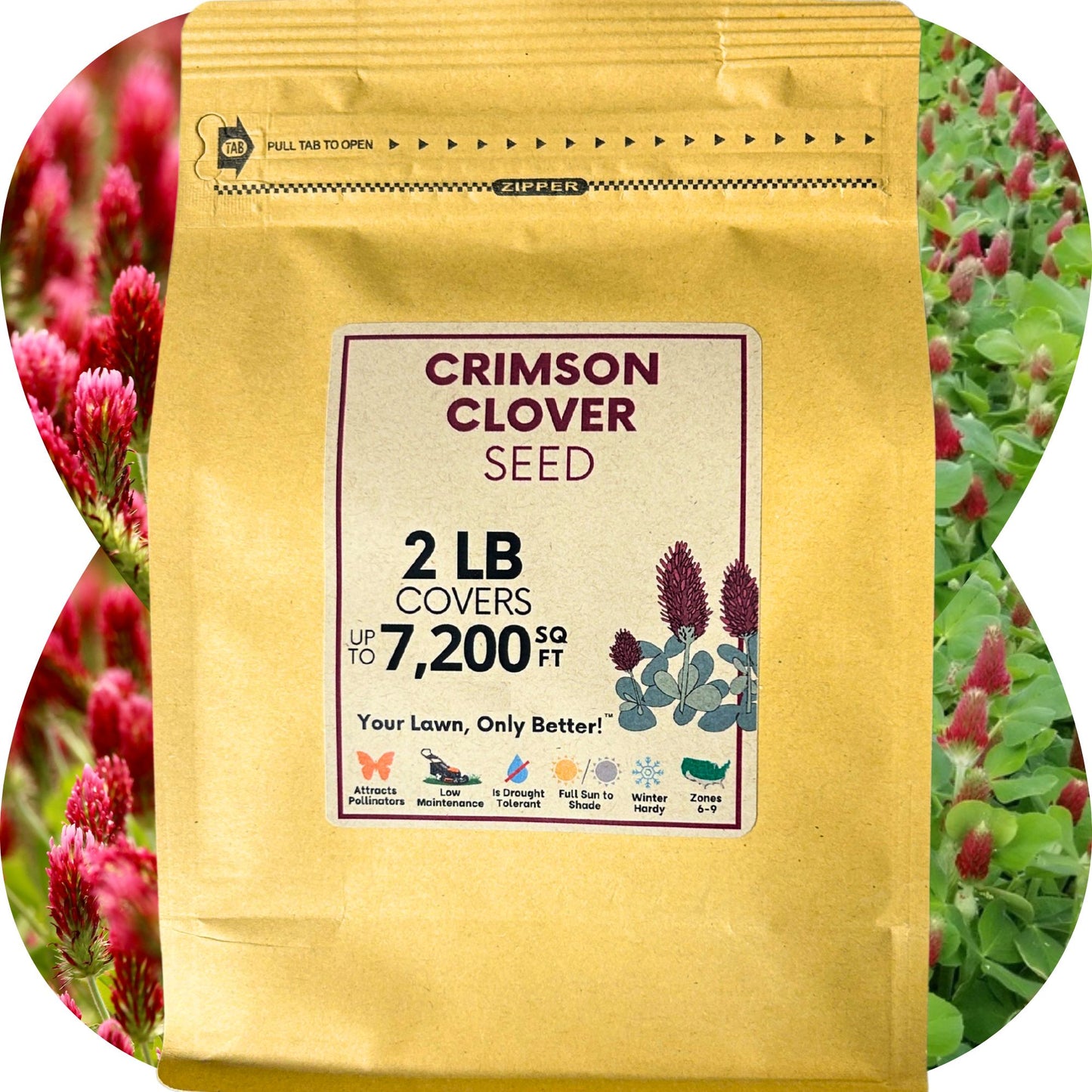 Crimson Clover Seed