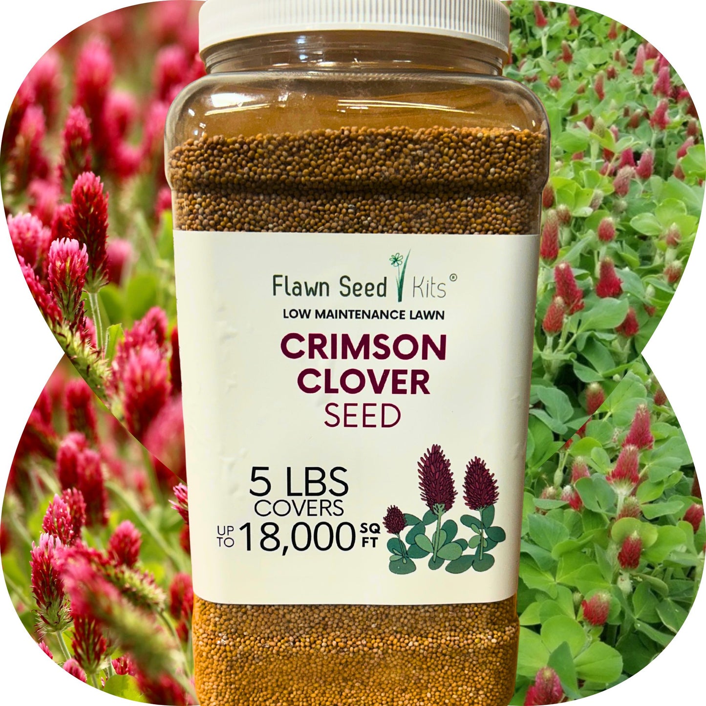 Crimson Clover Seed