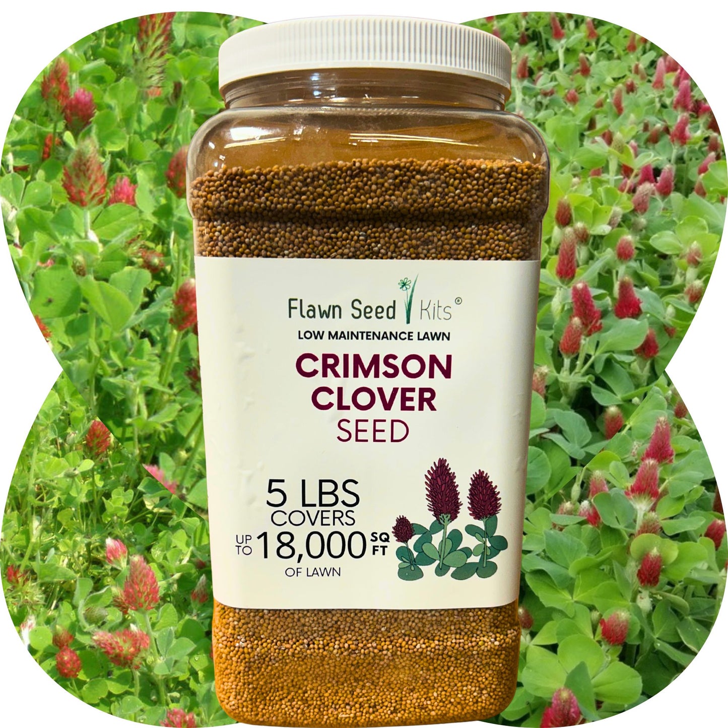 Crimson Clover Seed