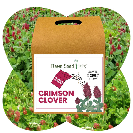 Crimson Clover Eco-Friendly Seeding Kit (LIMITED TIME)