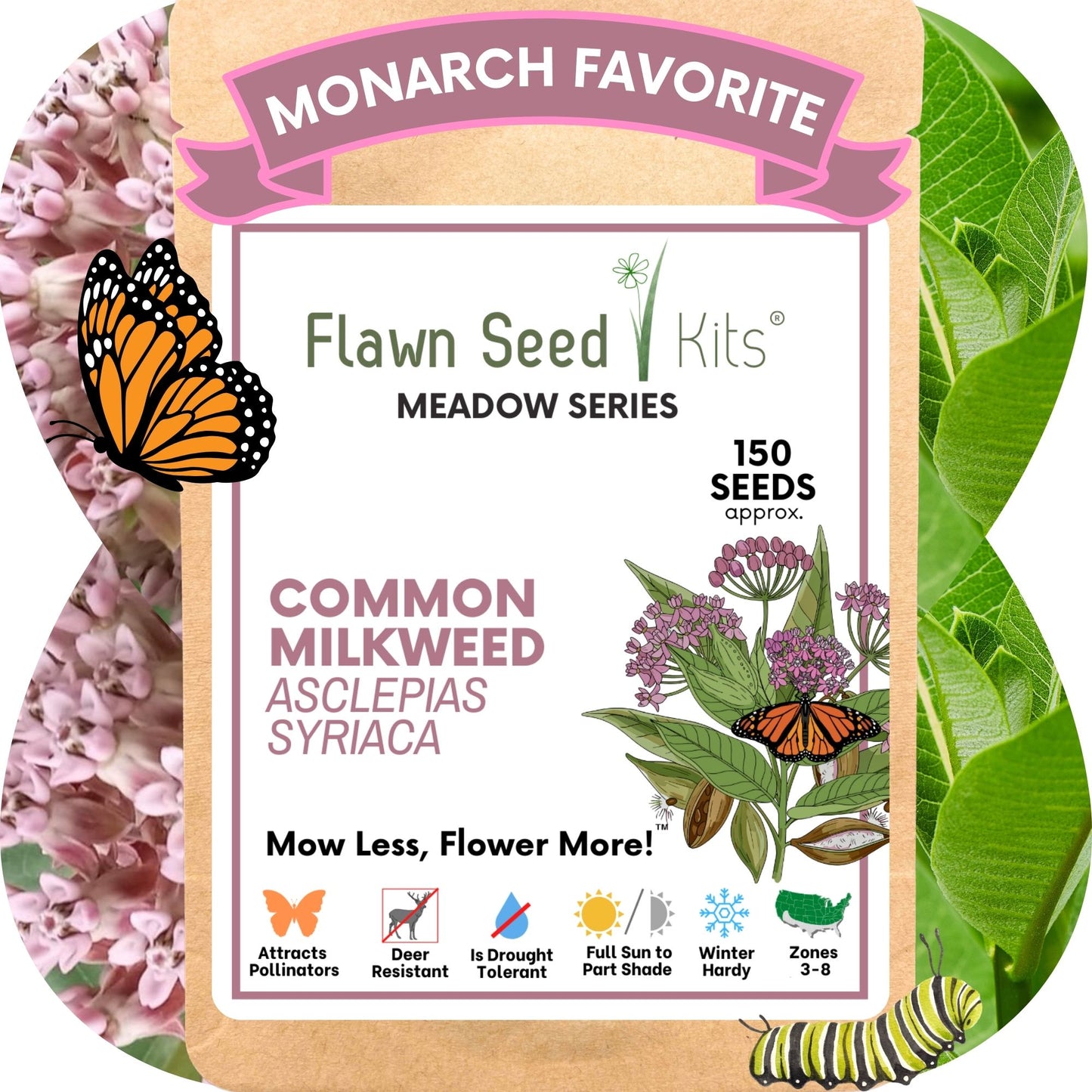 Common Milkweed Seed Pouch