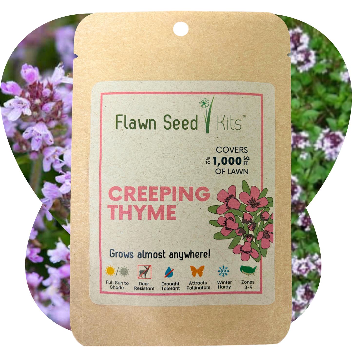 Creeping Thyme Seed Pouch