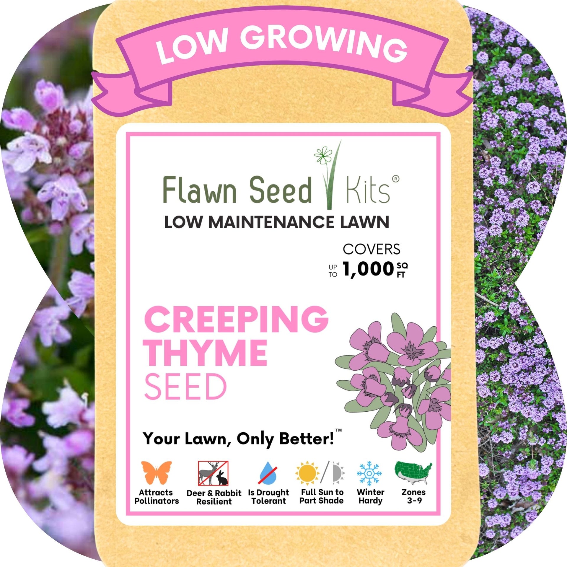 low maintenance flower seeds Creeping Thyme Seed Pouch