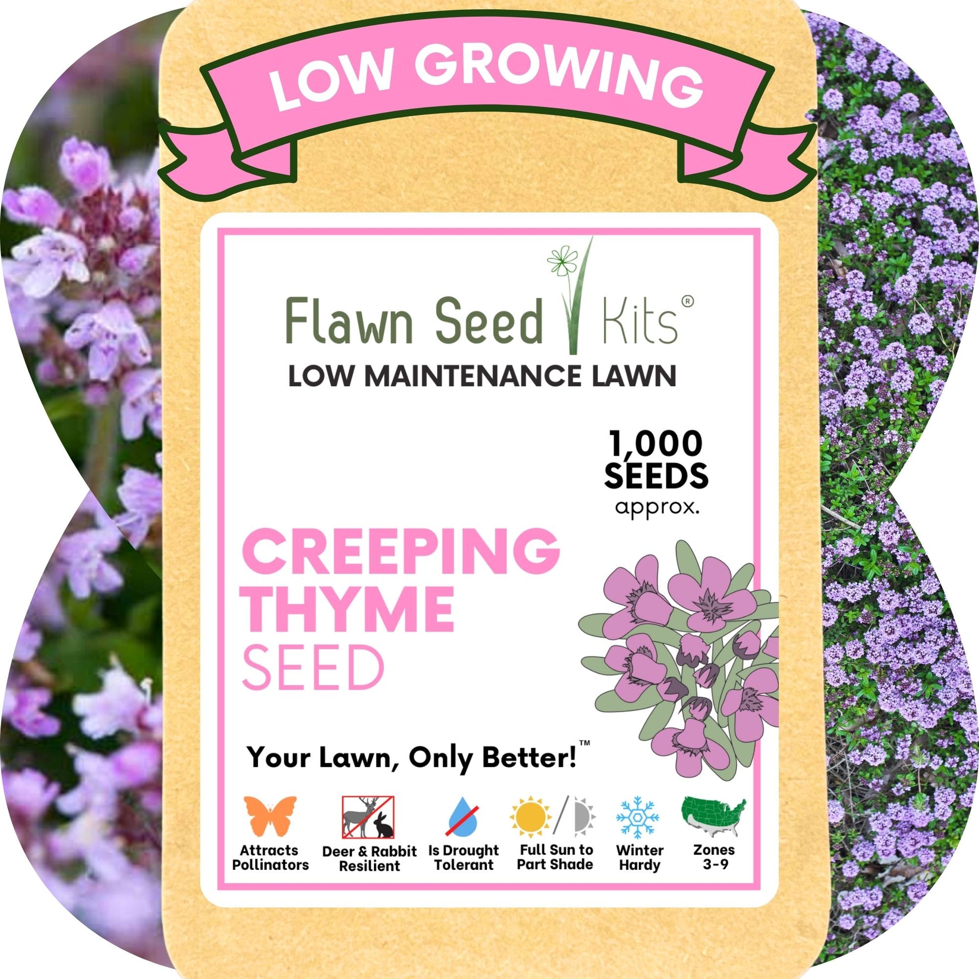 creeping plant seeds Creeping Thyme Seed Pouch