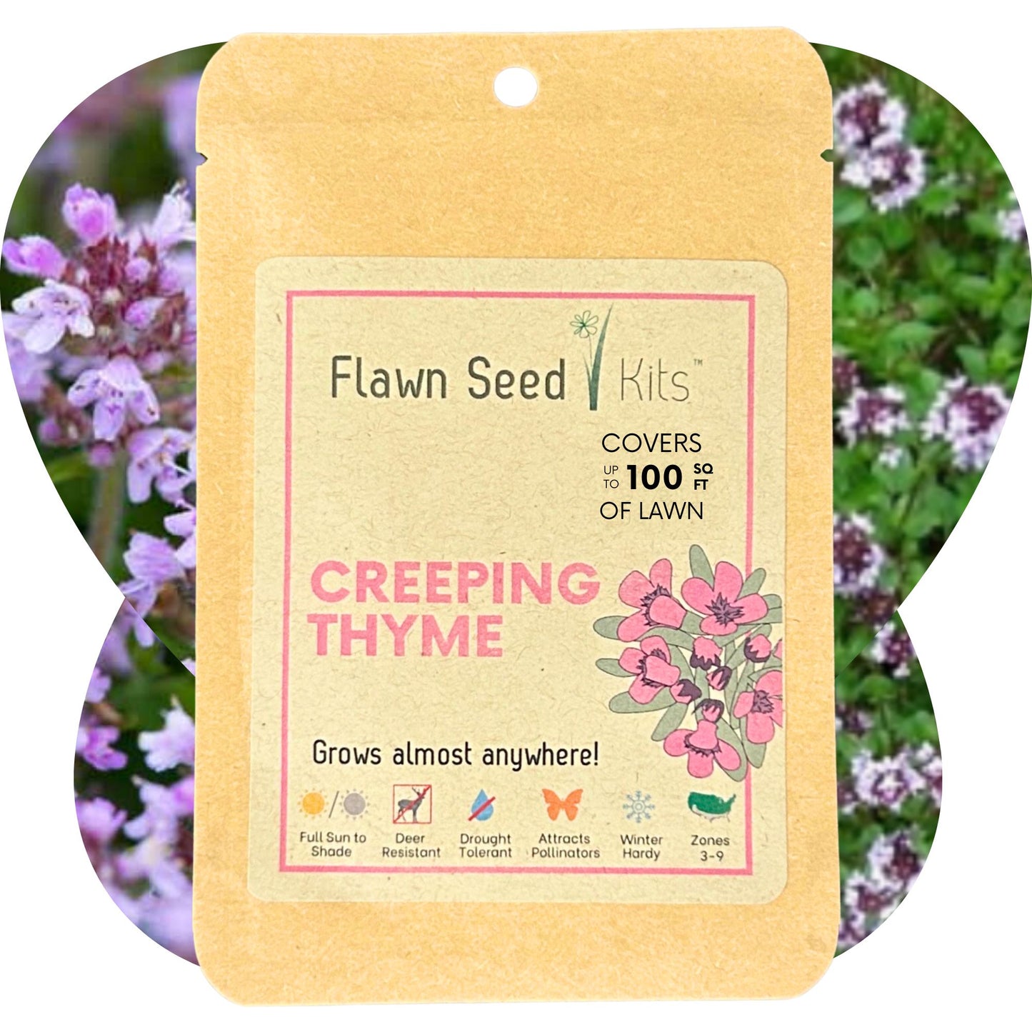 Creeping Thyme Seed Pouch
