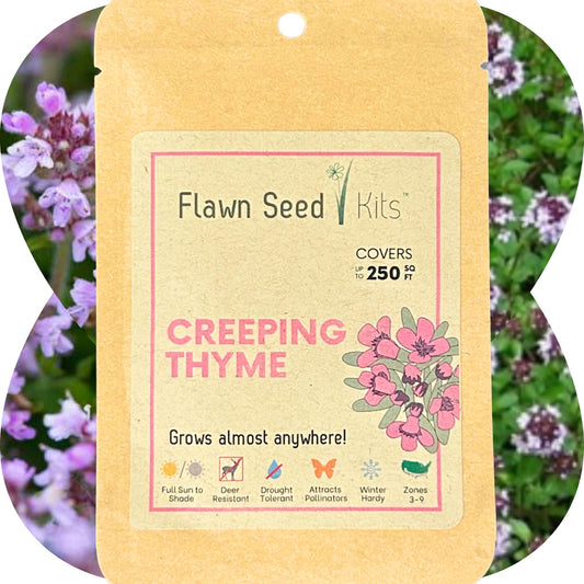 Creeping Thyme Seed Pouch