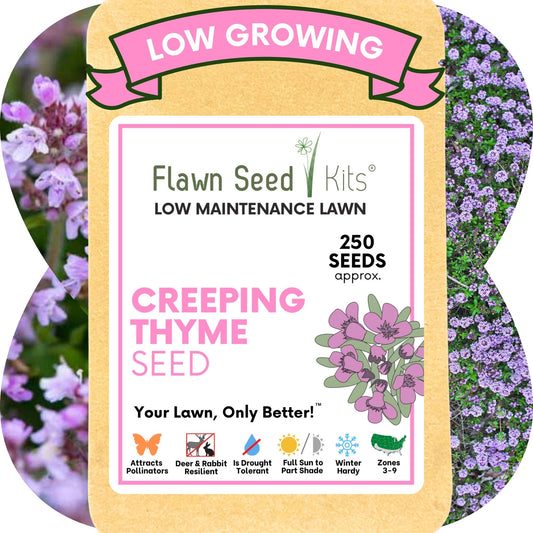 Creeping Thyme Seed Pouch