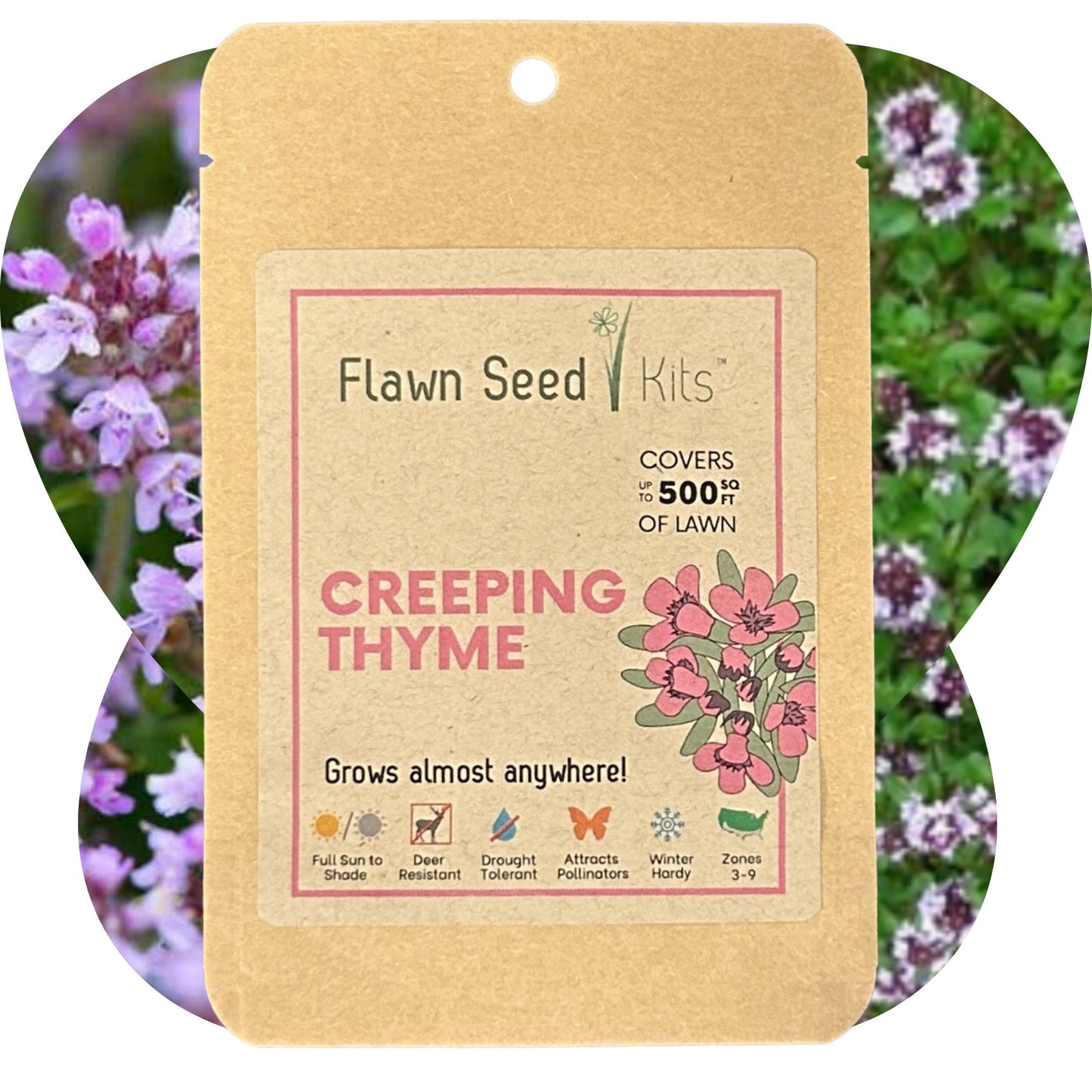 Case of Creeping Thyme Seed Pouches