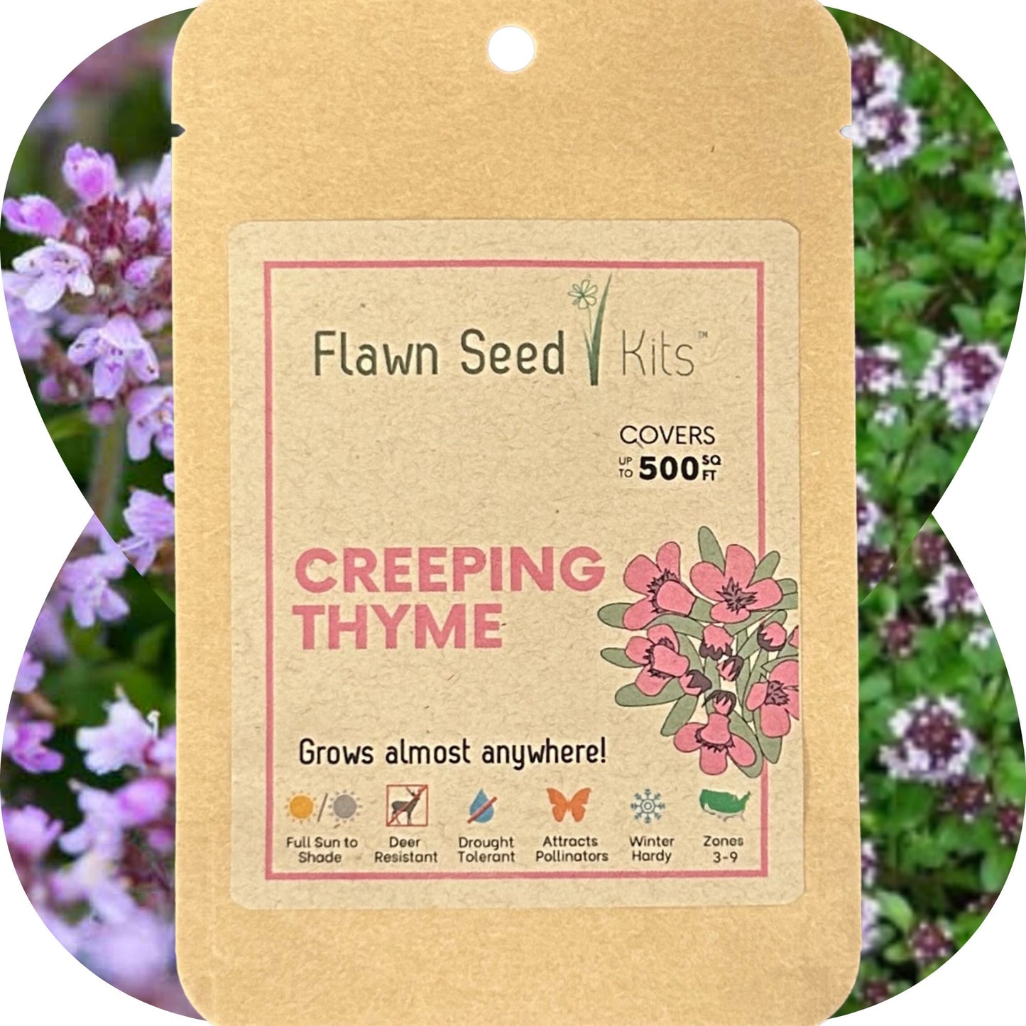 Creeping Thyme Seed Pouch