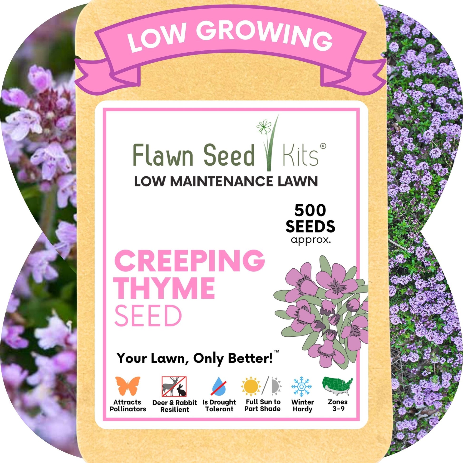 creeping thyme seeds or plants Creeping Thyme Seed Pouch