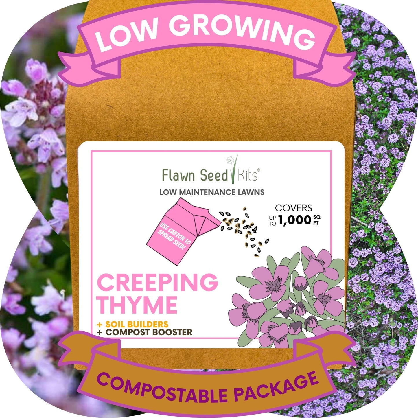 Creeping Thyme Eco-Friendly Seeding Kit