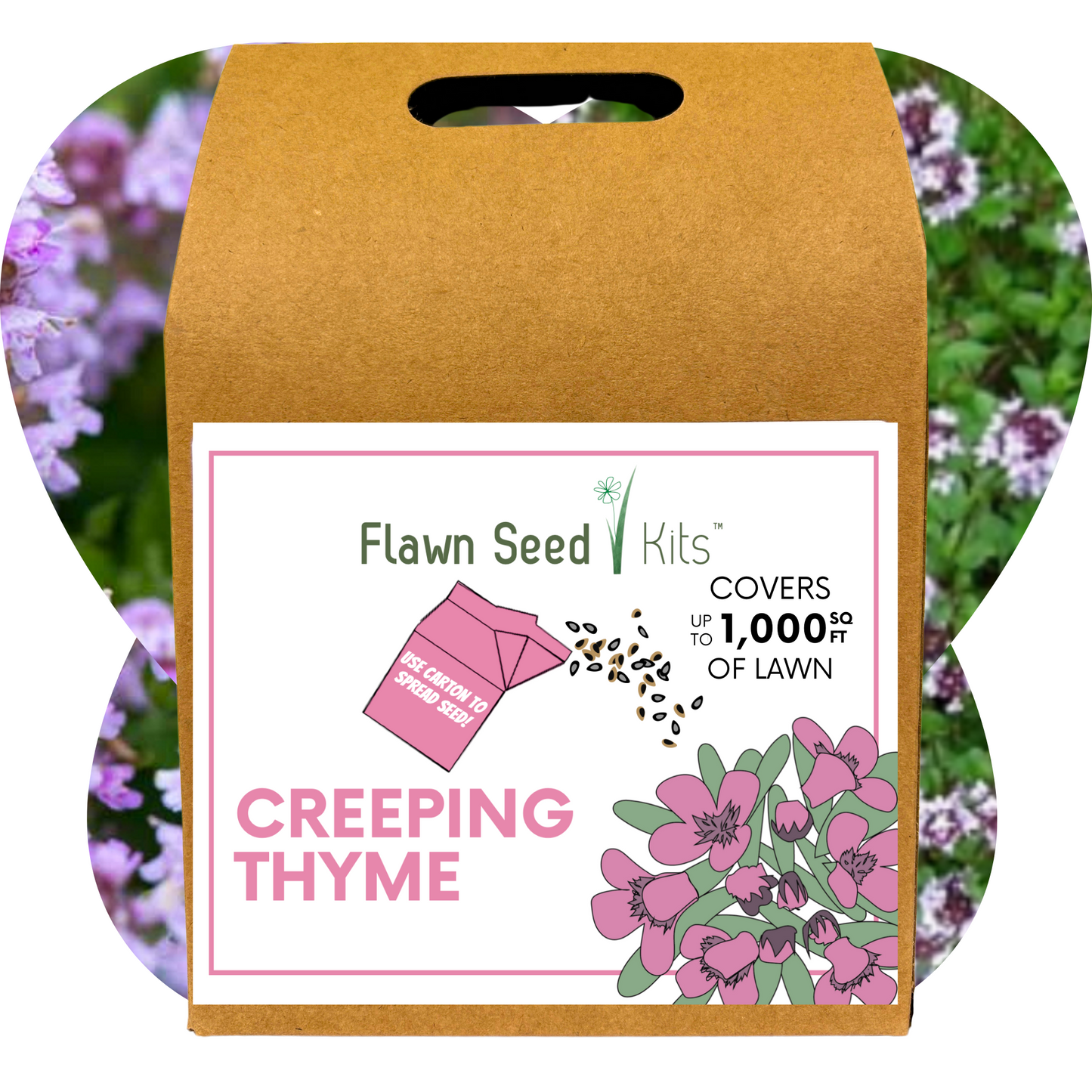 Creeping Thyme Eco-Friendly Seeding Kit