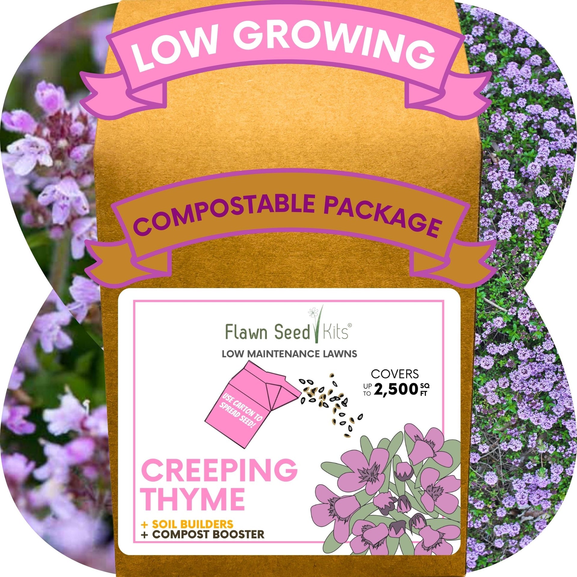 planting seed kits Creeping Thyme Eco-Friendly Seeding Kit – Flawn Seed Kits