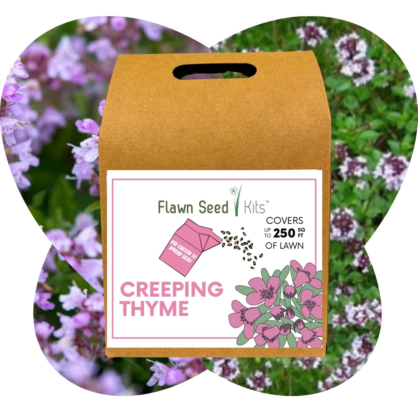 Creeping Thyme Eco-Friendly Seeding Kit
