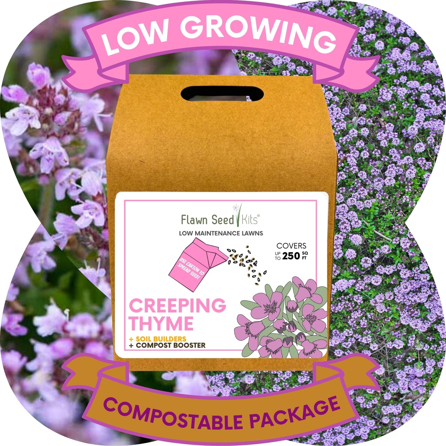 Creeping Thyme Eco-Friendly Seeding Kit