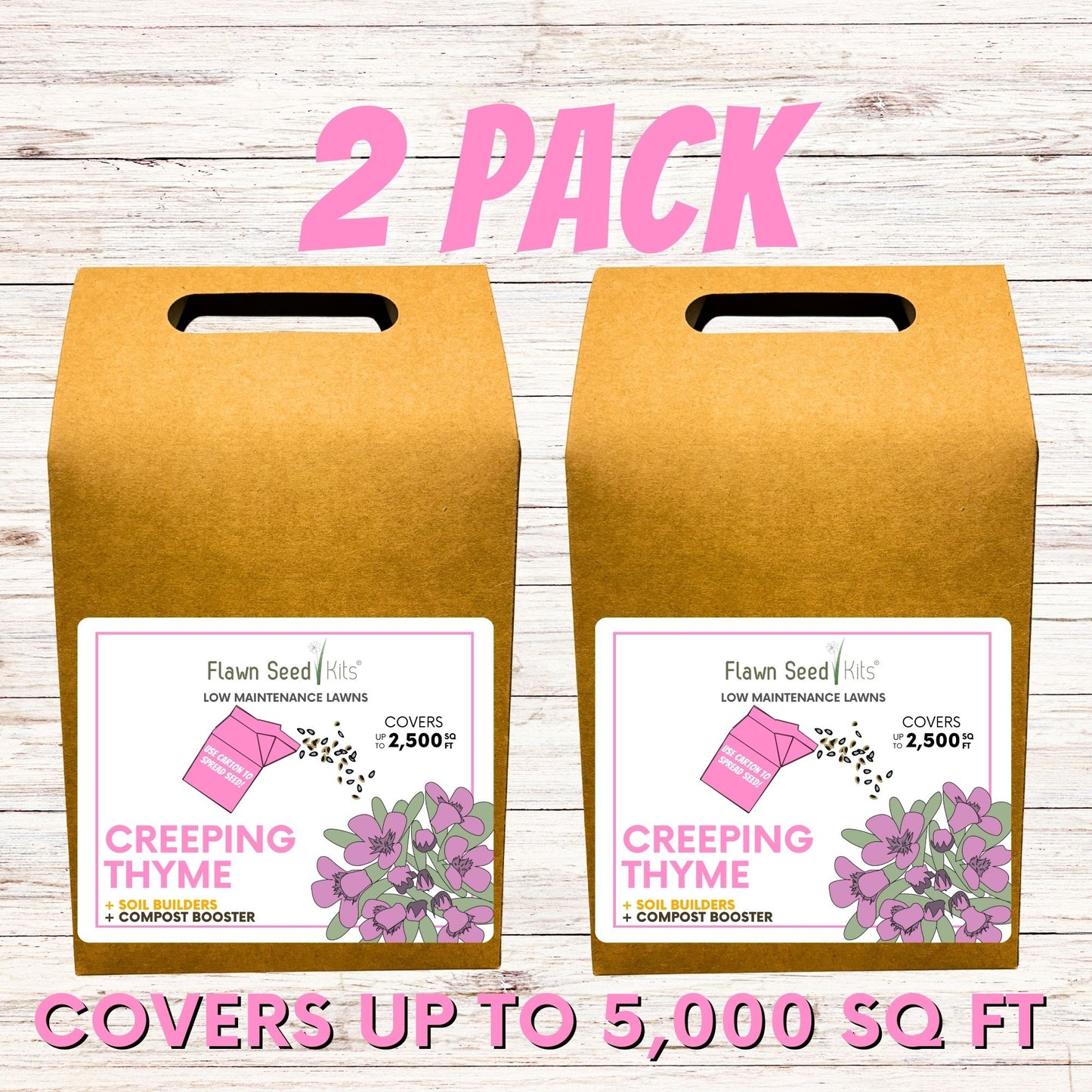 Creeping Thyme Eco-Friendly Seeding Kit