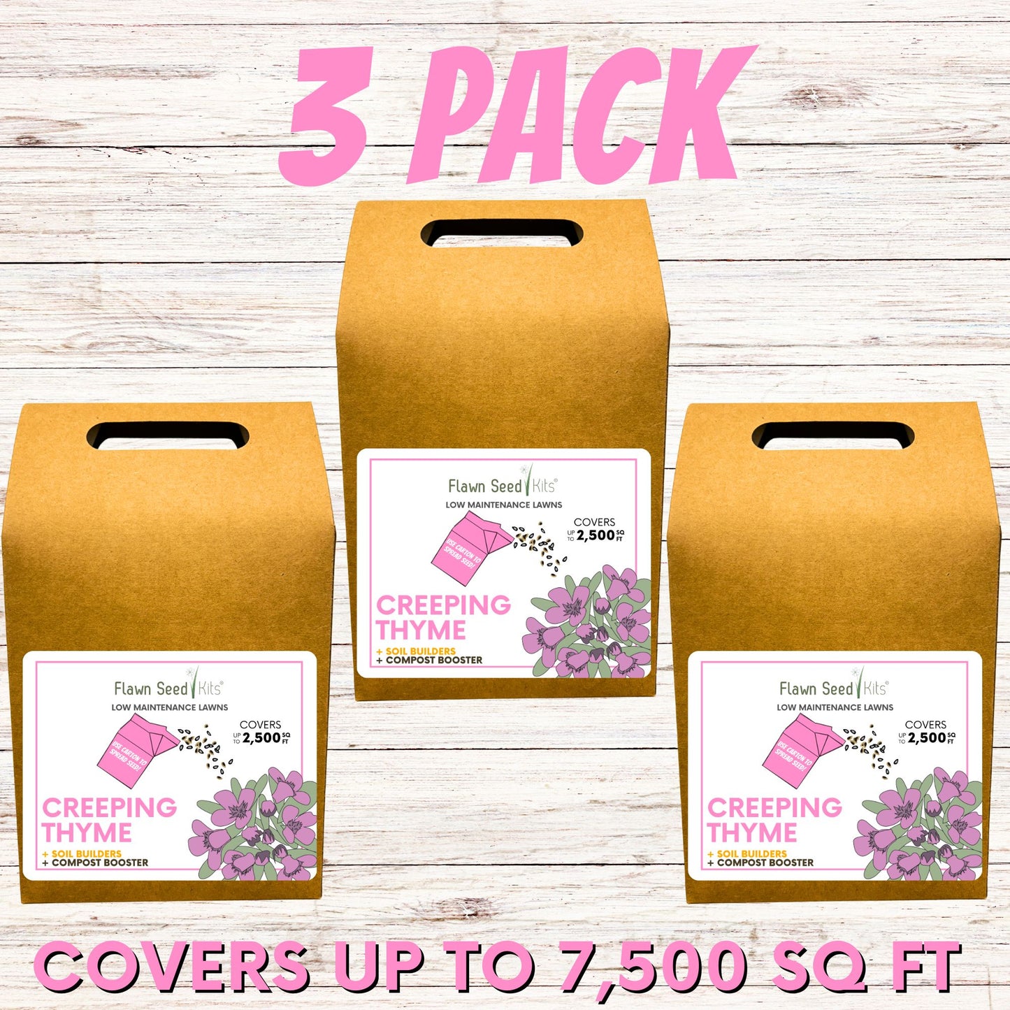 Creeping Thyme Eco-Friendly Seeding Kit