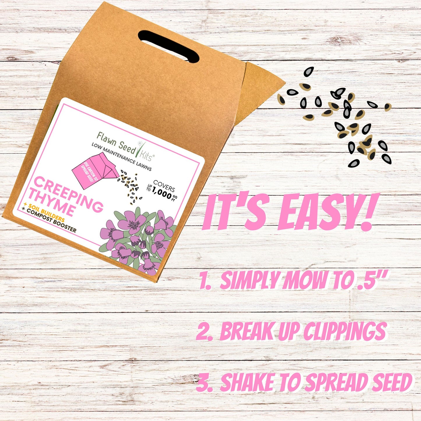 Creeping Thyme Eco-Friendly Seeding Kit