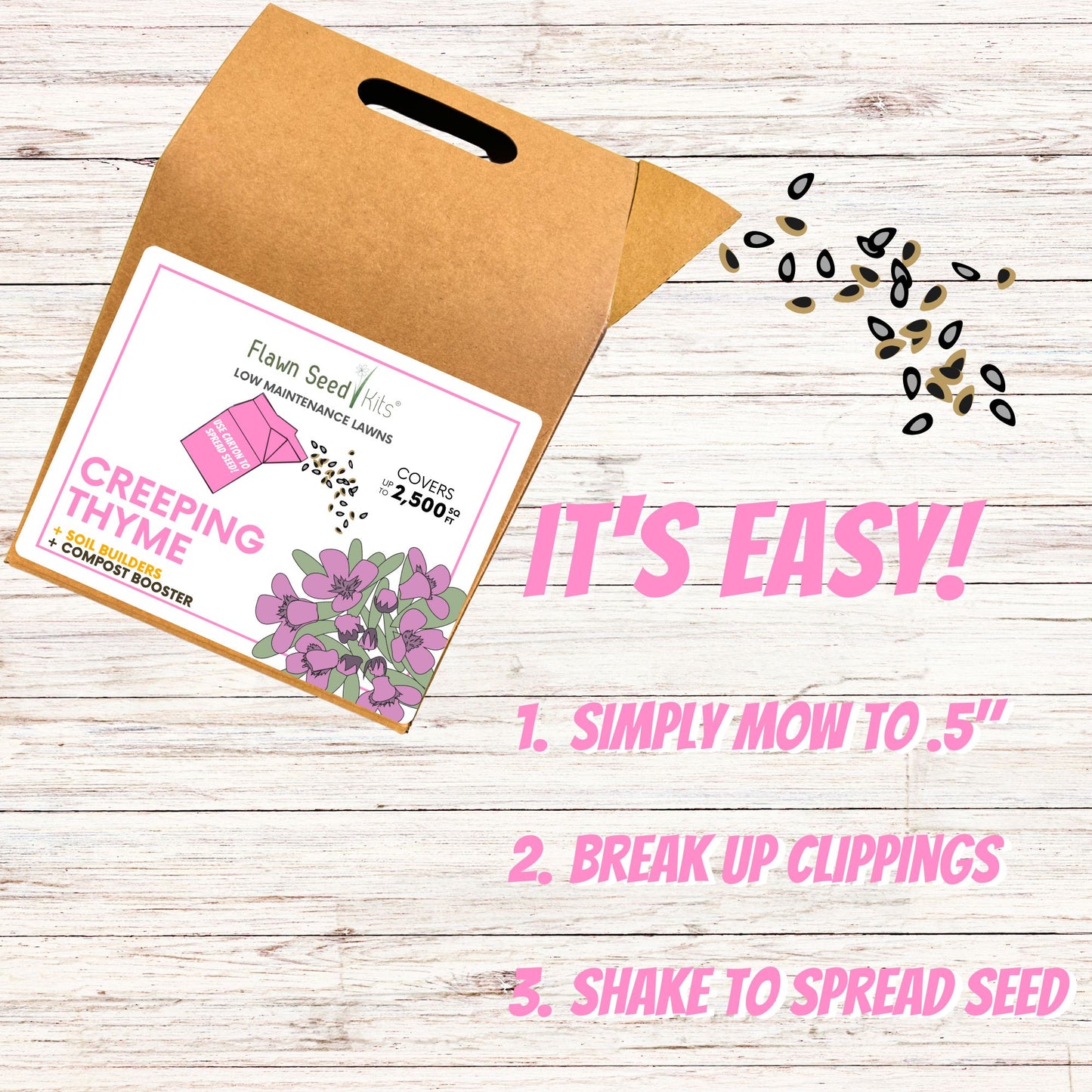 Creeping Thyme Eco-Friendly Seeding Kit