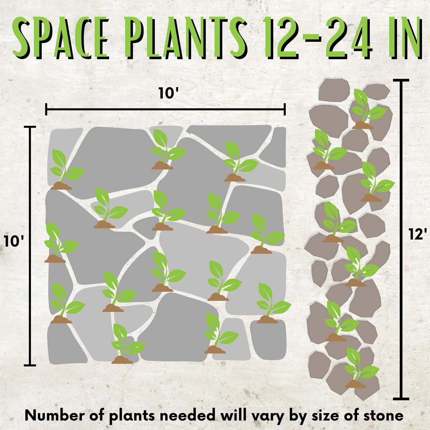 Micro Clover Egg Carton Seed Starting Kit