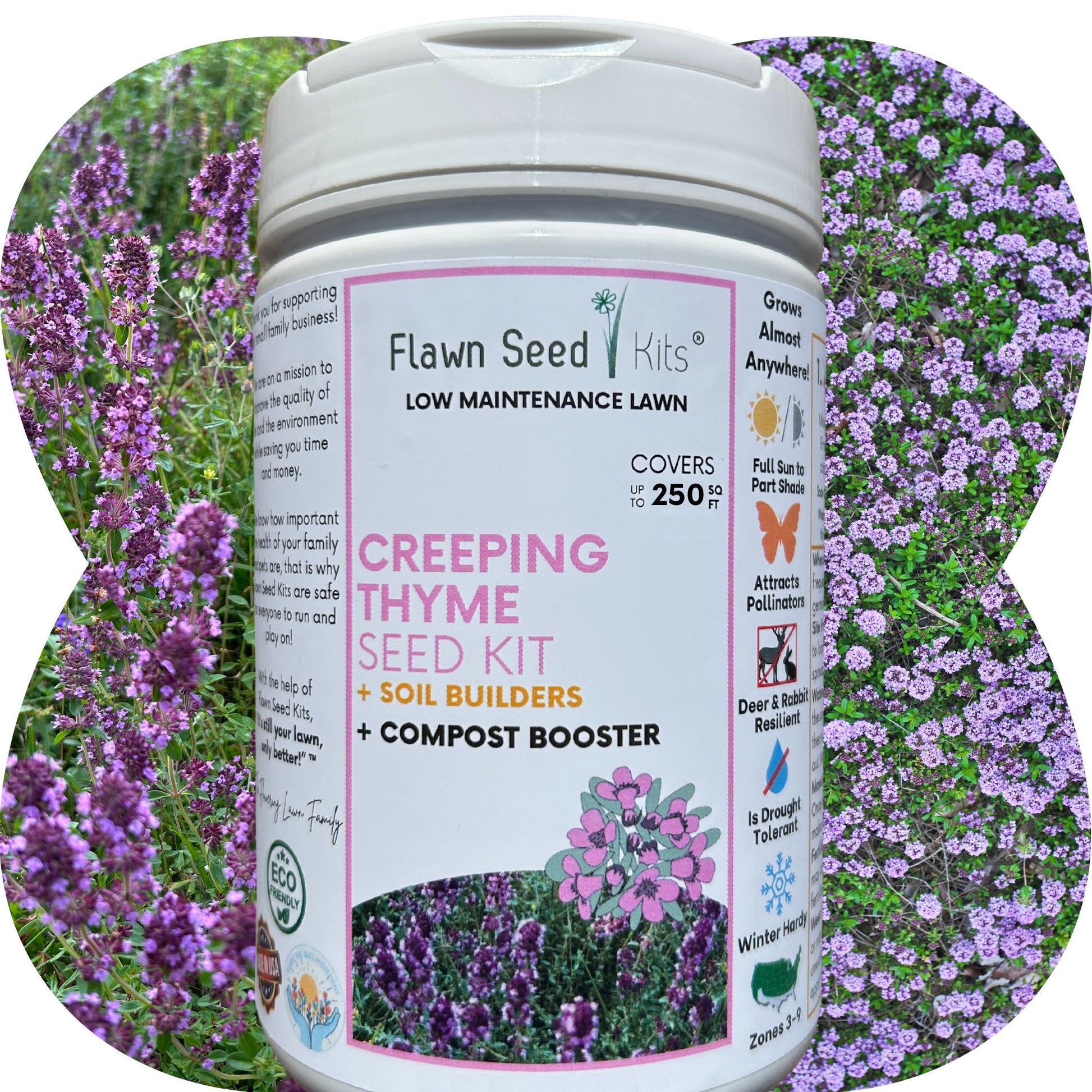 thyme plant seeds Creeping Thyme Easy Spread Shaker 1000 sq ft