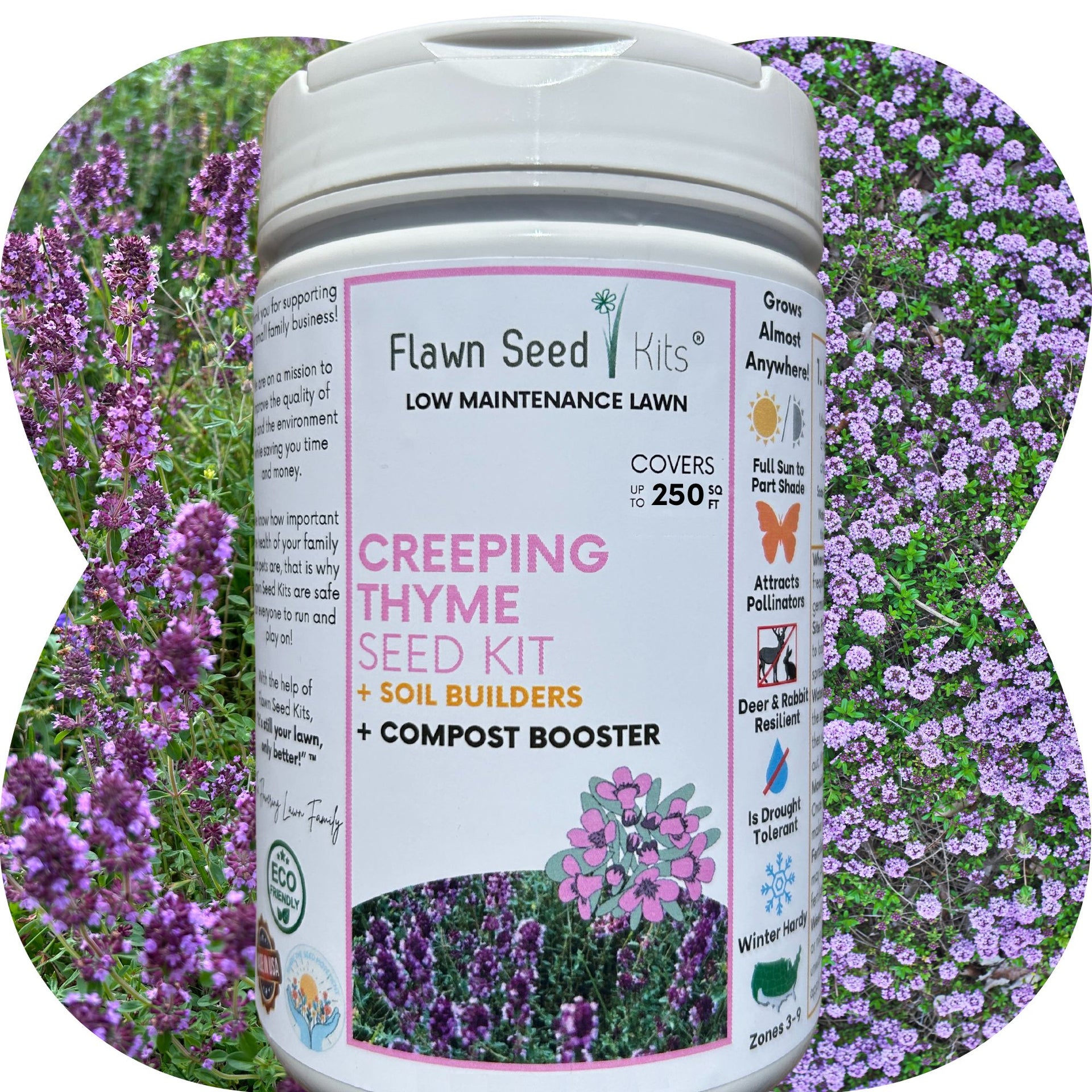 creeping plant seeds Creeping Thyme Easy Spread Shaker 1000 sq ft