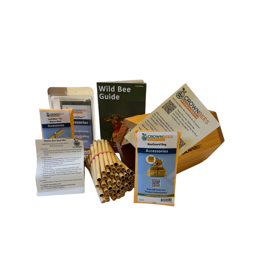 Cabana Bee House & Complete Kit with Bee Certificate