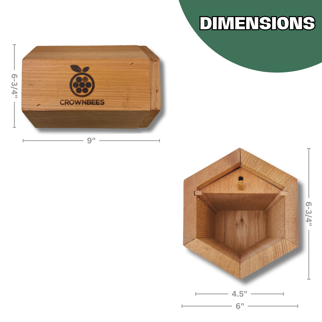 Cabana Bee House & Complete Kit with Bee Certificate