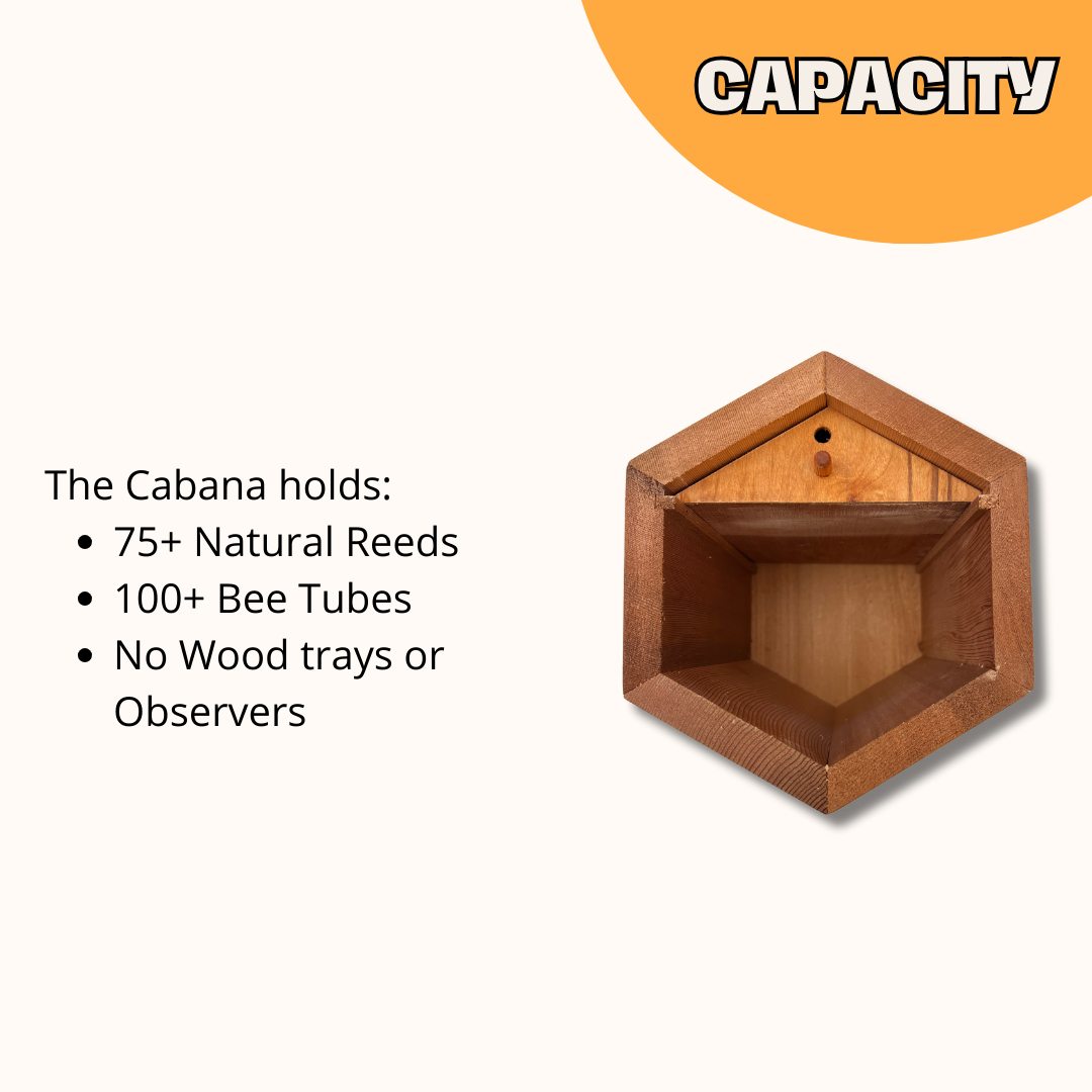 Cabana Bee House & Complete Kit with Bee Certificate