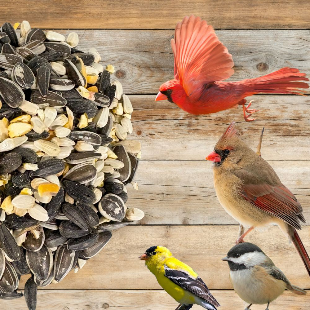 Cardinal & Finch Feast Wild Bird Seed Blend