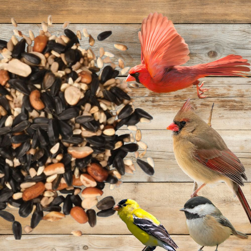 Premium Cardinal & Finch Feast Bird Seed Blend