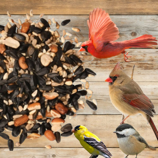 Premium Cardinal & Finch Feast Bird Seed Blend