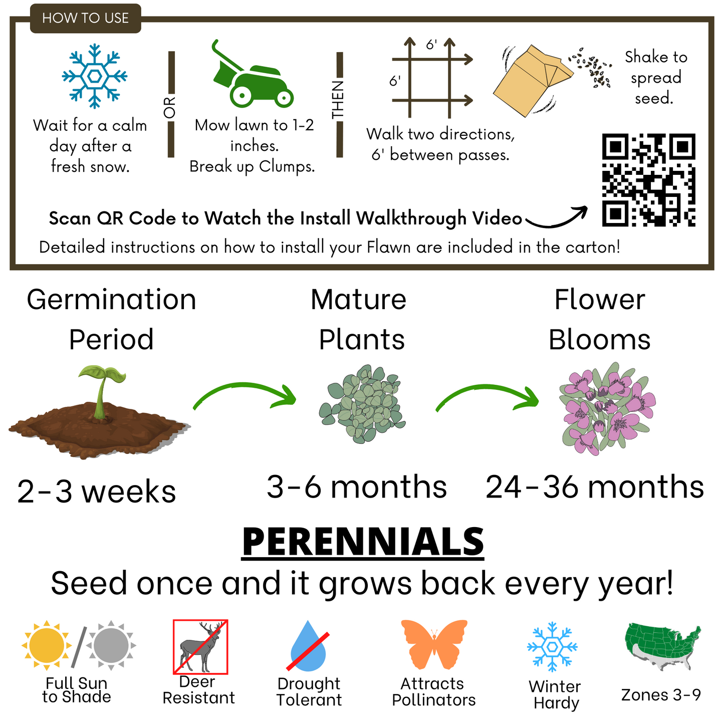 Creeping Thyme Eco-Friendly Seeding Kit