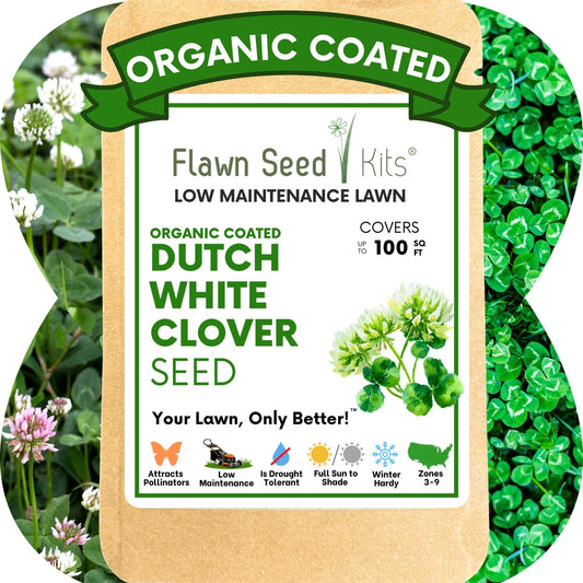 Dutch White Clover Seed