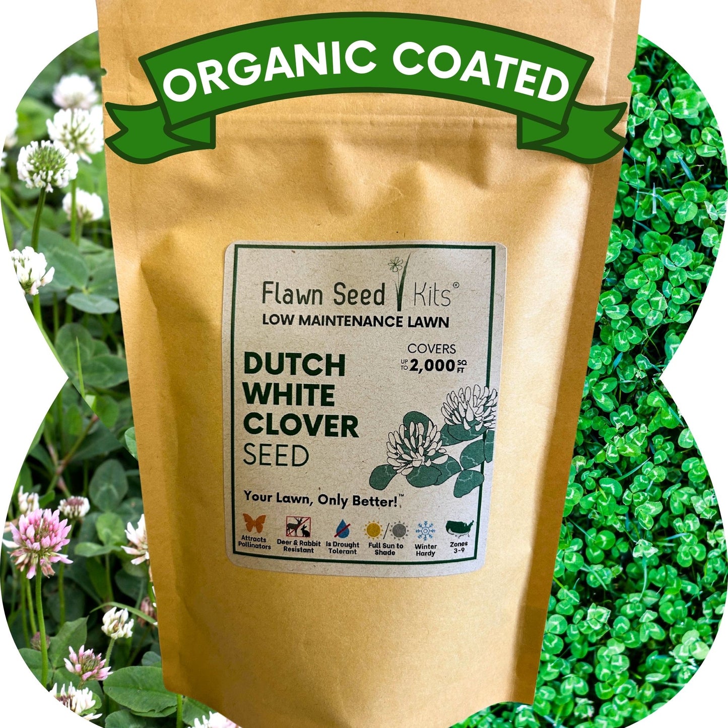 Dutch White Clover Seed