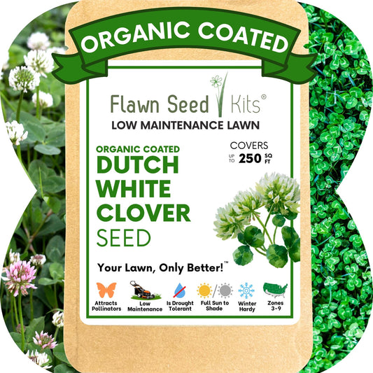 Dutch White Clover Seed