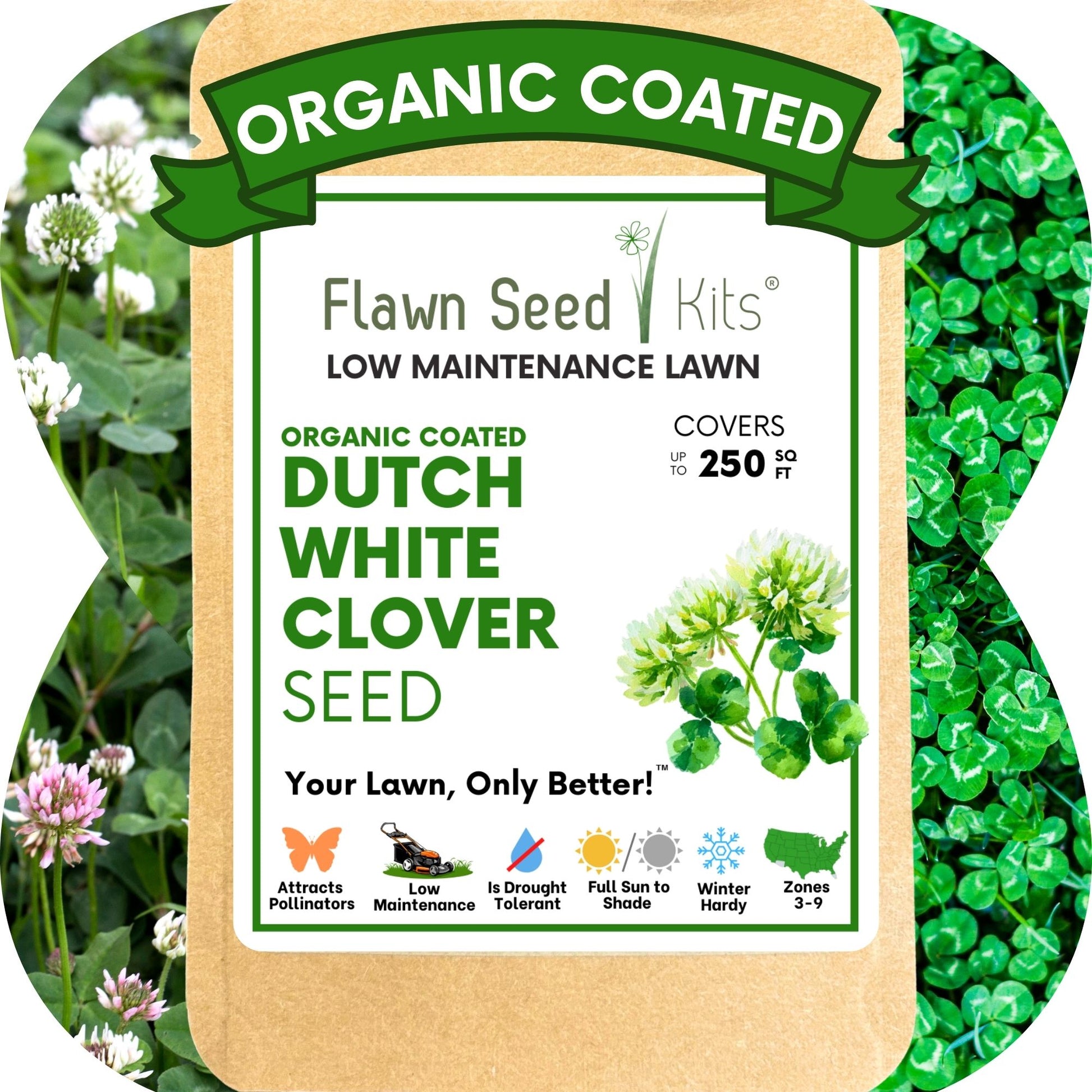 soak clover seeds before planting Flawn Seed Dutch White Clover Flowering Lawn Seed - Kid, Pet, Pollinator & Eco-Friendly Grass Alternative