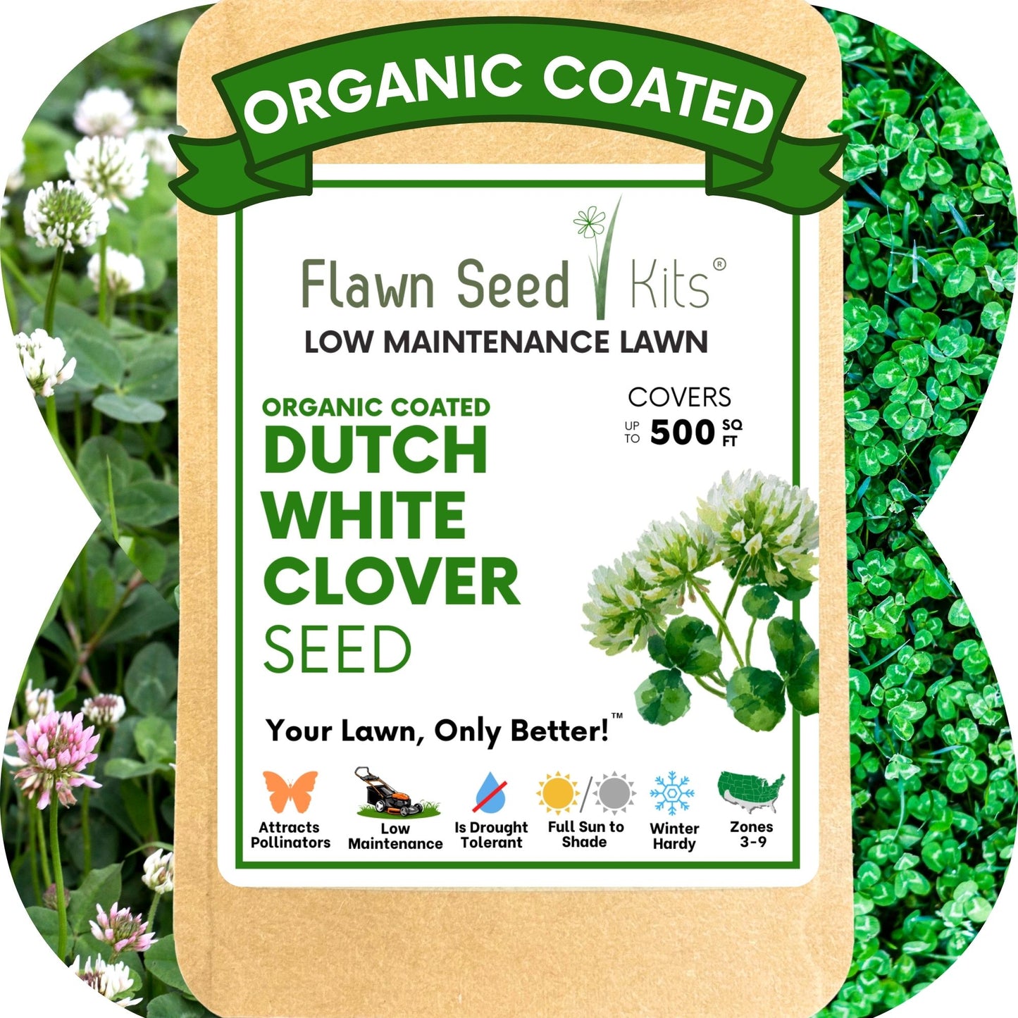 Dutch White Clover Seed