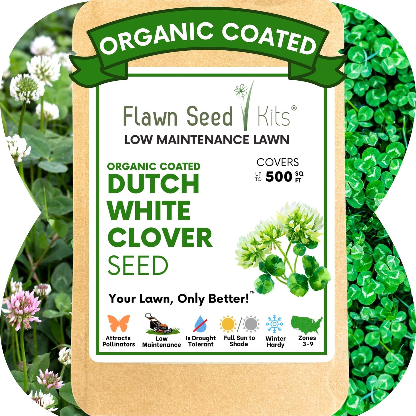 Dutch White Clover Seed