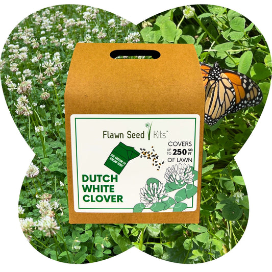 Dutch White Clover Eco-Friendly Seeding Kit (LIMITED TIME)