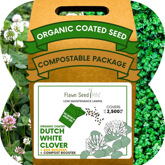 Dutch White Clover Eco-Friendly Seeding Kit