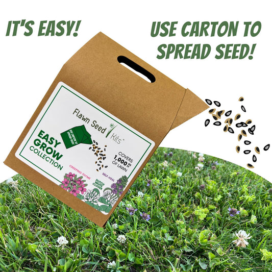 Bee Lawn Flowering Pollinator Seed Kit, Dutch White Clover Blooms, Self-Heal Blooms, Creeping Thyme Blooms, Easy Spread Eco-Friendly Container