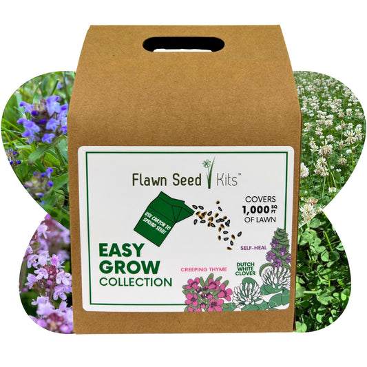 Bee Lawn Flowering Pollinator Seed Kit, Dutch White Clover Blooms, Self-Heal Blooms, Creeping Thyme Blooms, Easy Spread Eco-Friendly Container