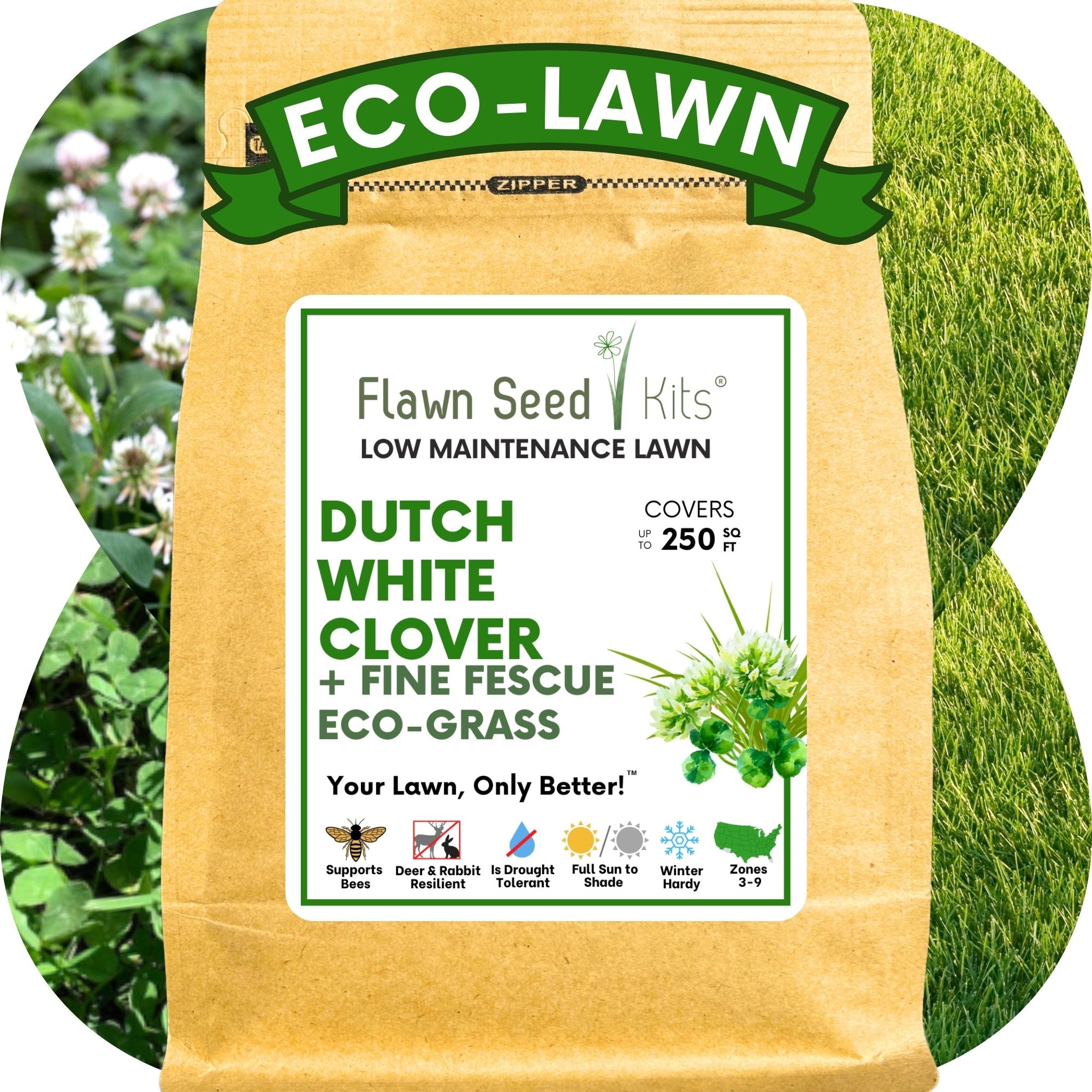 White Seed - Flawn Kid, Lawn Clover Flowers | Minnesota