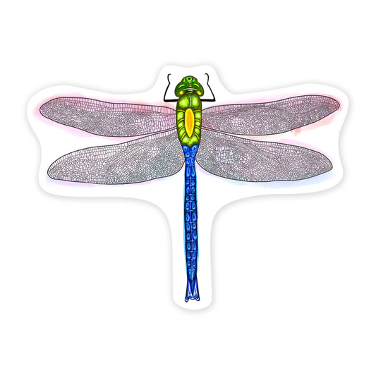 Dragonfly 3" Sticker (FEW IN STOCK)