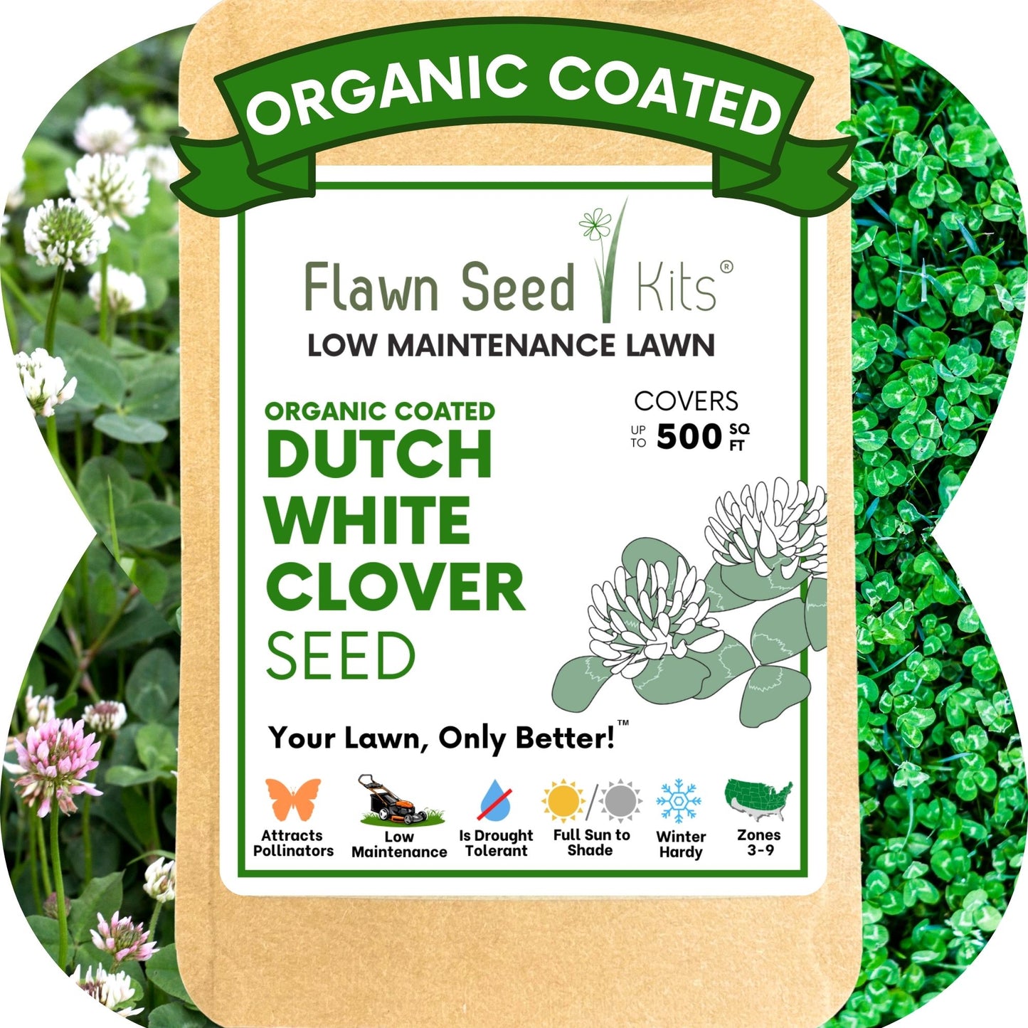 Dutch White Clover Seed